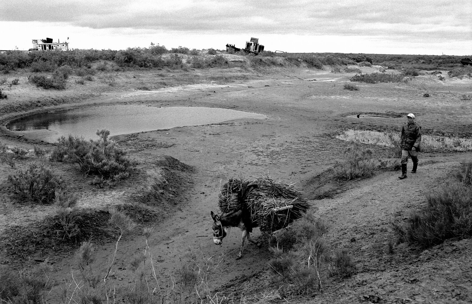 Местный житель, идущий по дну моря. А впереди ослик везет тростник, который используется для стен домов, пришедших в негодность, если их можно назвать домами.  2002