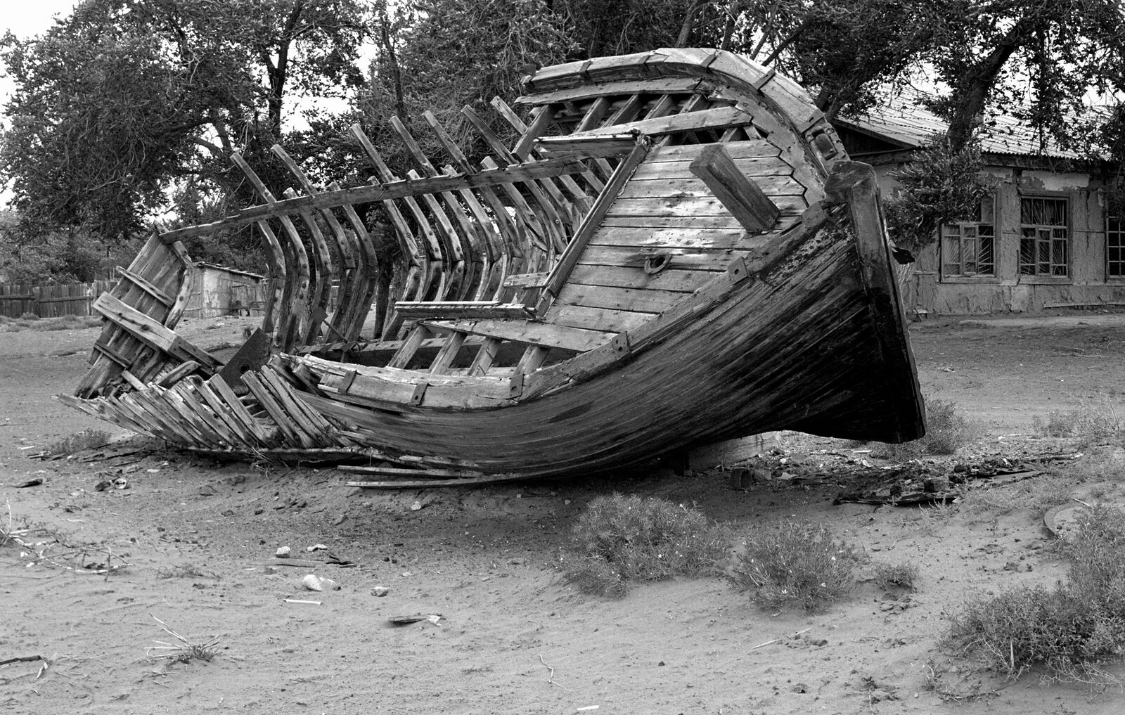 Приаралье. 2002